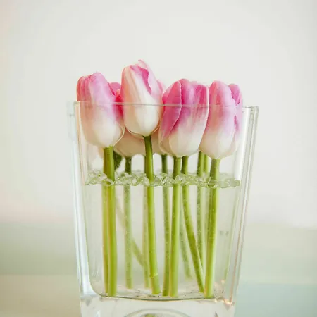 Felice Relais Hotel 3*