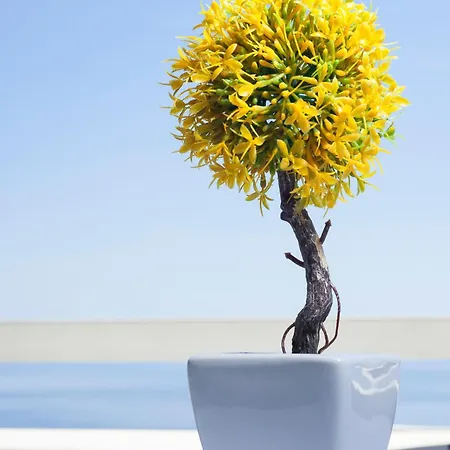 Felice Relais فندق