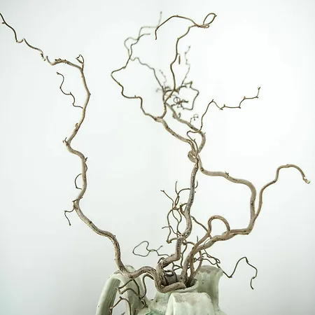 Felice Relais فندق 3*