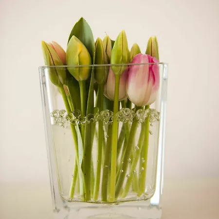 Felice Relais 3* أمالفي