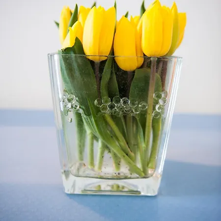 Felice Relais 3* أمالفي