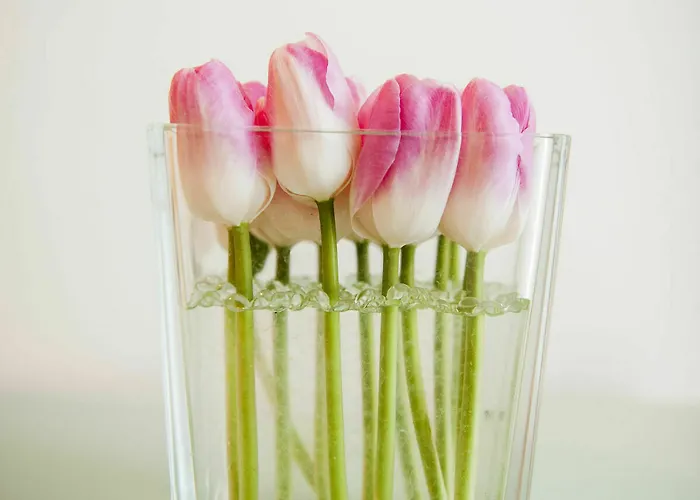 Felice Relais Hotel 3*