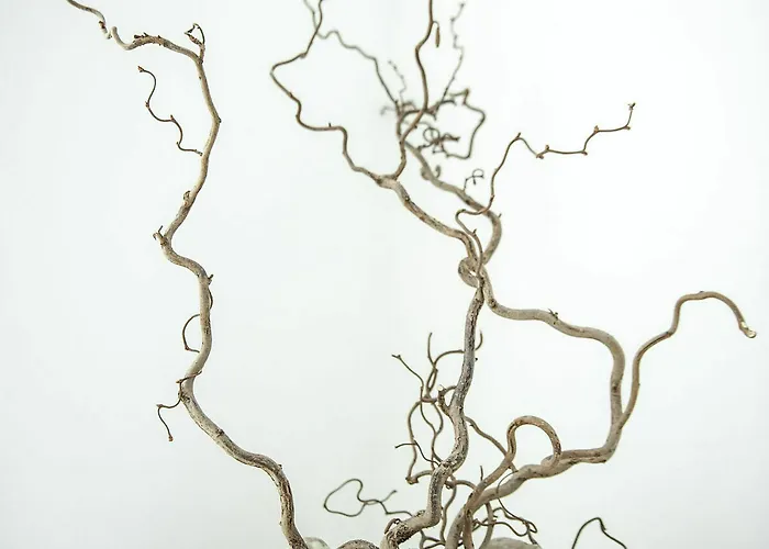 Felice Relais Готель 3*